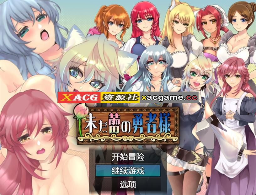 【PC+安卓JOI/日系RPG】萌新状态的英雄1.02【1.65G/汉化/双端】